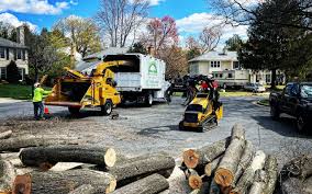 Why Choose Our Tree Removal Services in Spirit Lake, ID?