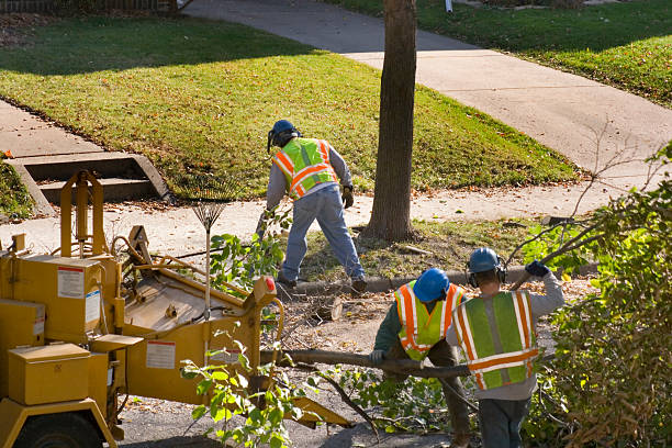 Leaf Removal in Spirit Lake, ID